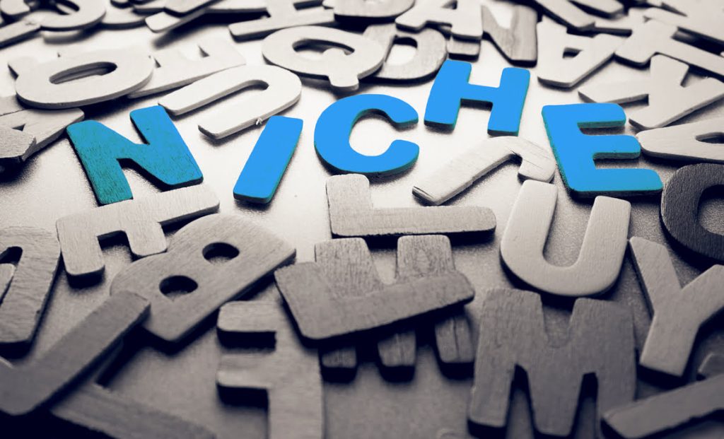 نیچ مارکتینگ ( Niche Marketing ) چیست؟مزایای استفاده از نیچ مارکتینگ و آشنایی با نمونه های موفق آن